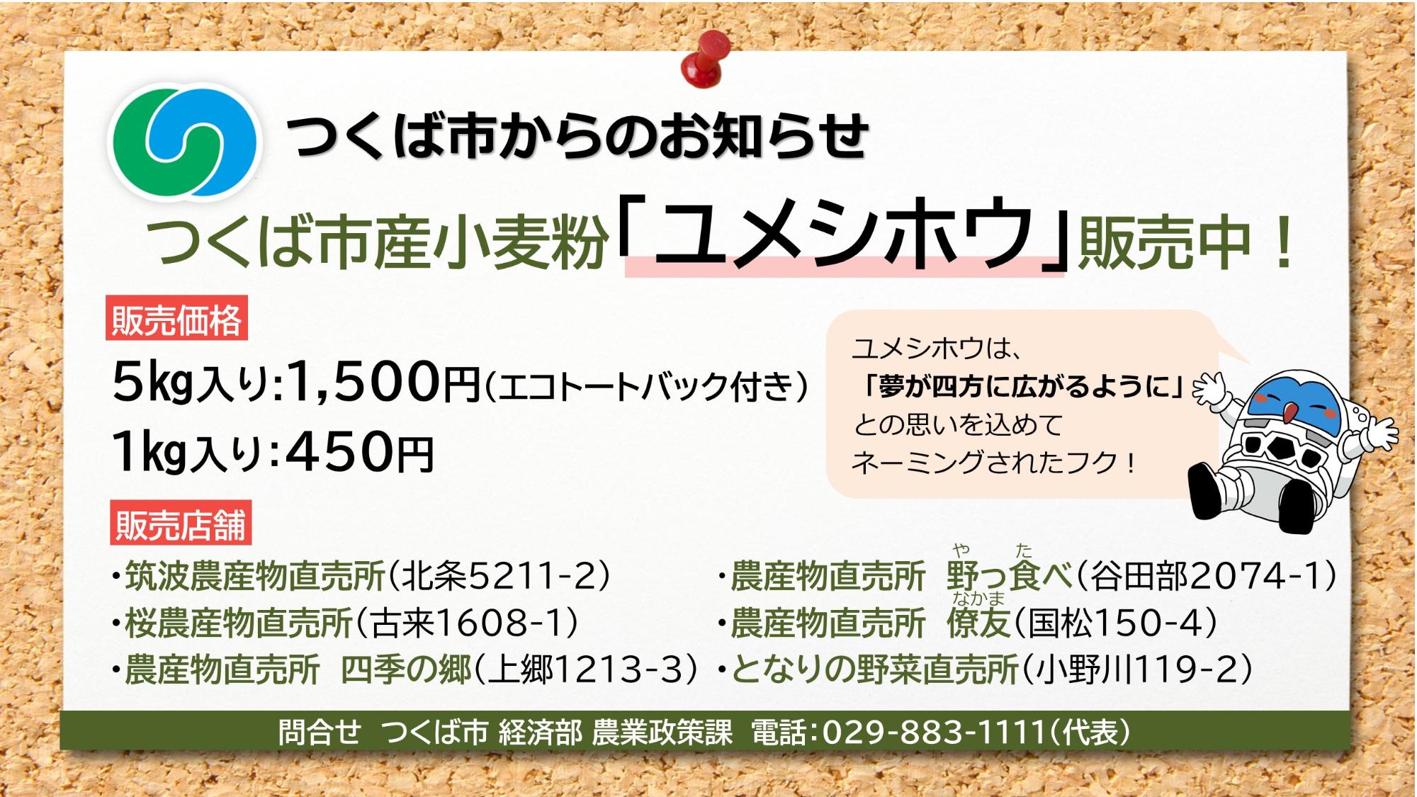 ユメシホウ情報等写真