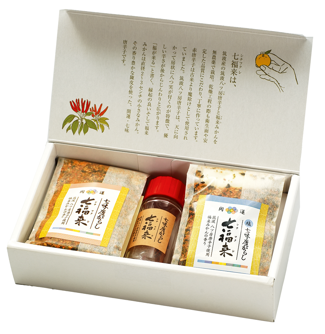 エコファーム飯島