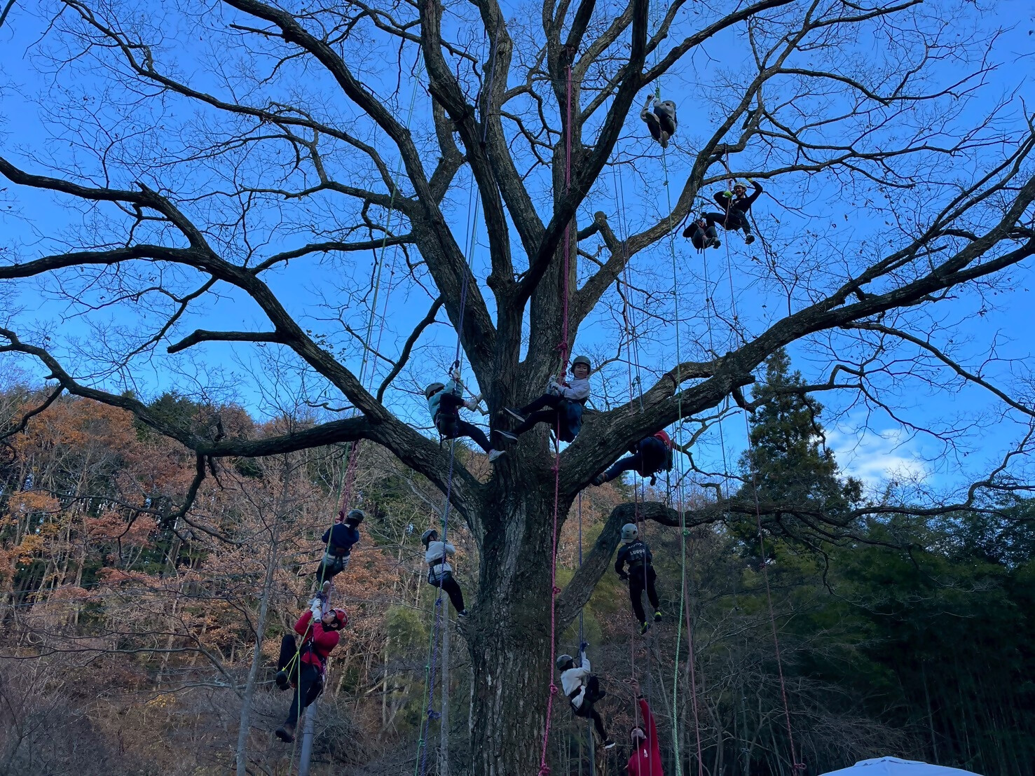 デイキャンプ4
