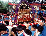 八坂神社の祇園祭(小茎地区)で神輿を担ぐ大勢の子供たちの写真