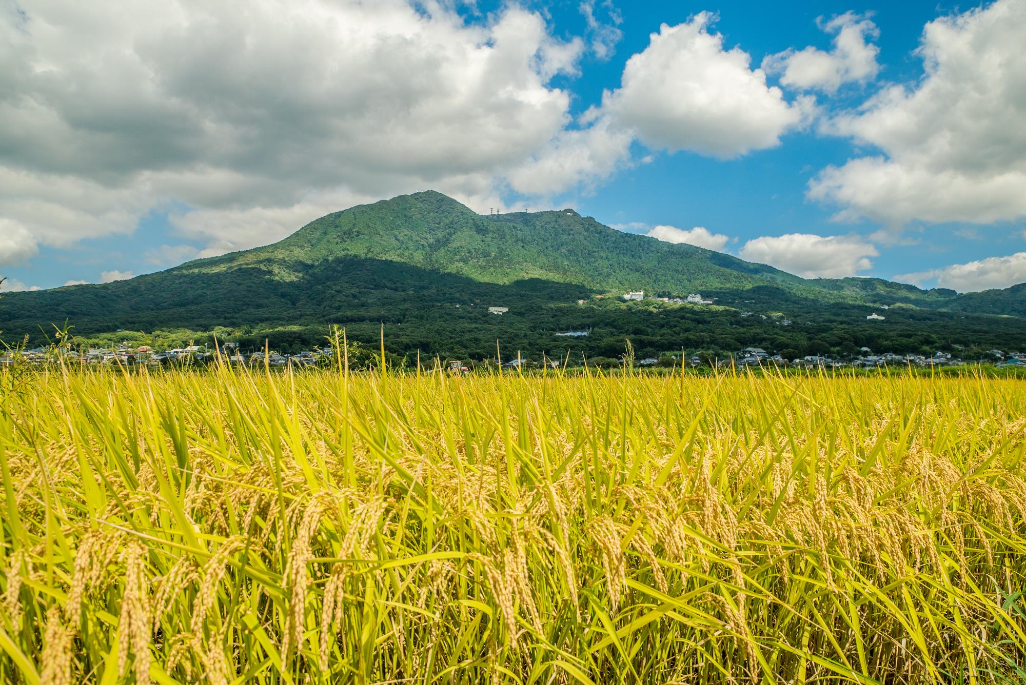 筑波山夏