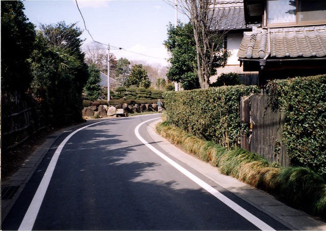 細い道路沿いに、生垣がある民家が続いている作谷集落の写真