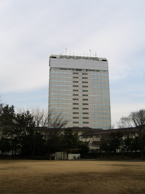 公園の芝生から木立越しに大きいビルが建っている写真