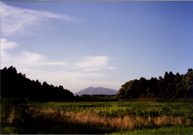 眼下に草が生い茂り、森の間から見える筑波山の写真