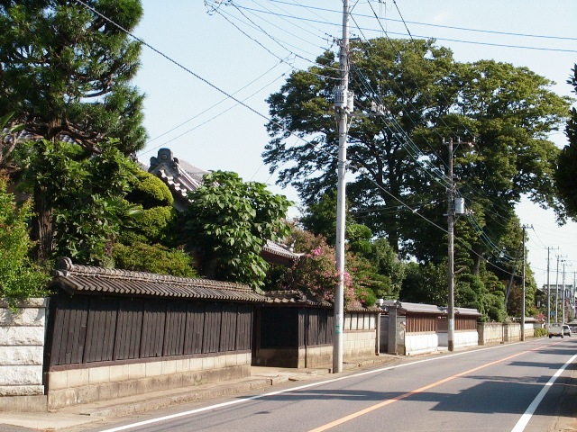 道路沿いに瓦屋根の建物、周りに背の髙い屋敷林や花が植えられている、伝統的な景観の洞下集落の写真