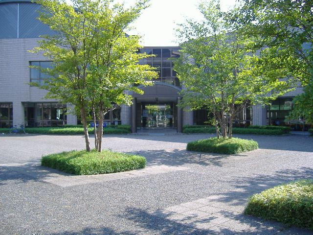 大学横の敷地のアスファルトに芝生のエリアが正方形型で数箇所作られており、それぞれ芝生から4本から5本の細い木が立っている写真