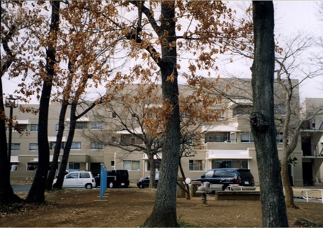 水色の鉄棒や小さな遊具のある公園の先にクリーム色の集合住宅が建っている写真