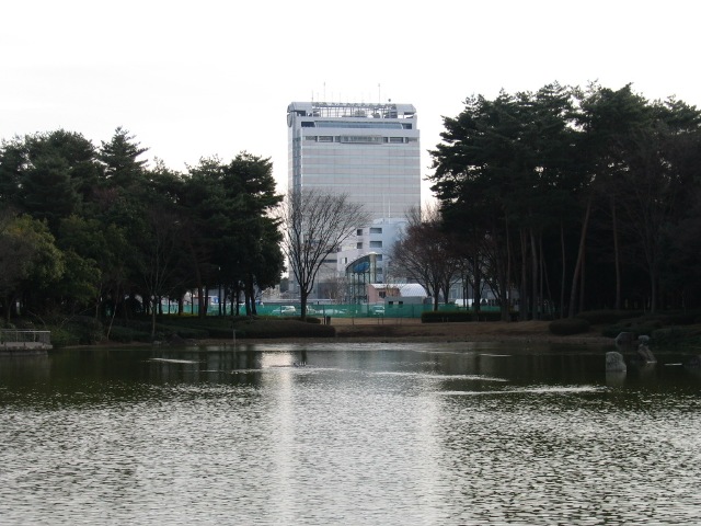 手前に公園の池が広がっており、立ち並ぶ木々越しに大きなビルが建っている写真