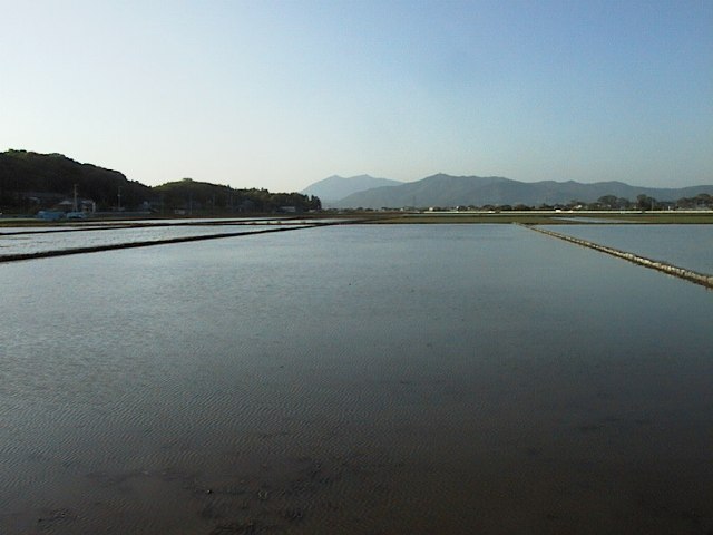 眼下に水が張られた田んぼが広がり、奥に筑波山と山脈が続いている写真