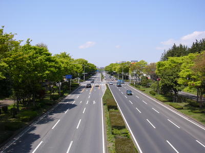 両脇に木々が立ち並び、学園東大通り線の道路を見下ろした写真