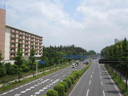 6車線道路の左側にマンションが建っており、中央分離帯に背の低い樹木が植えられている写真