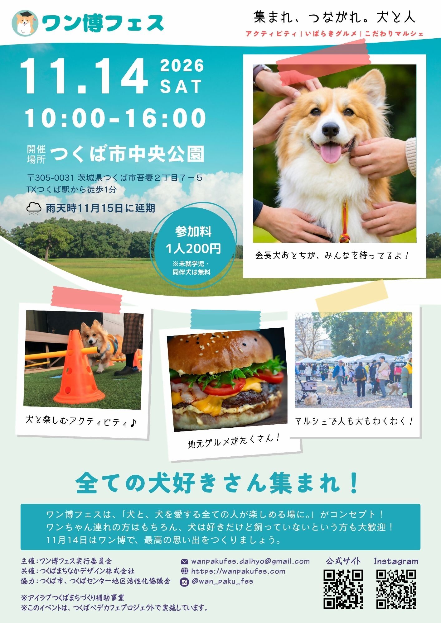 ワン博フェスチラシ表