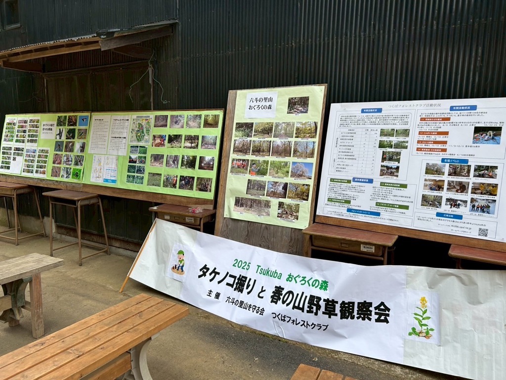 おぐろくの森2025春1