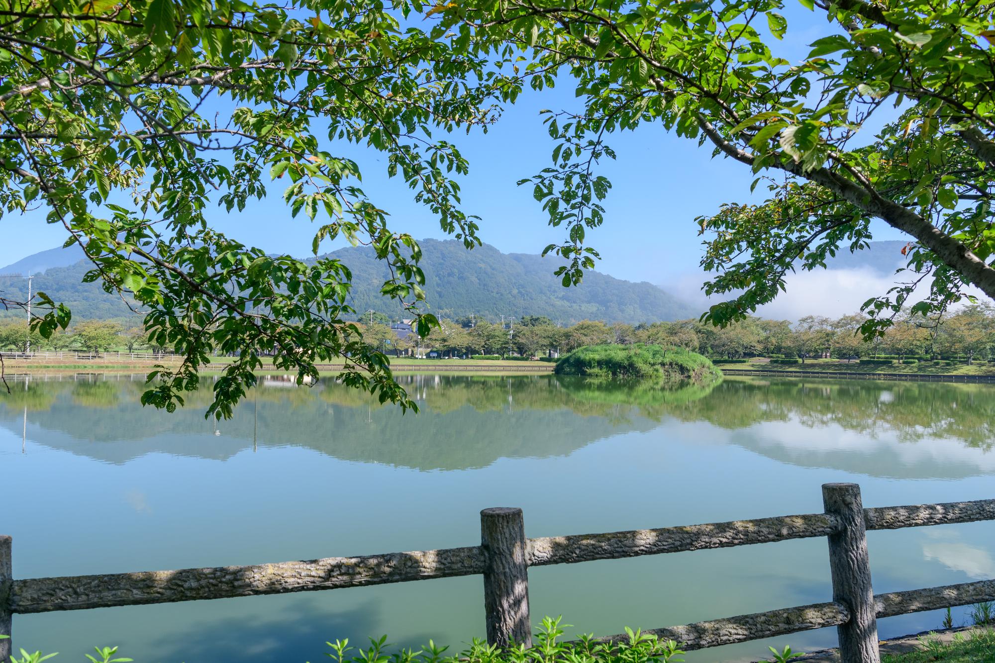 大きな池のある大池公園の写真