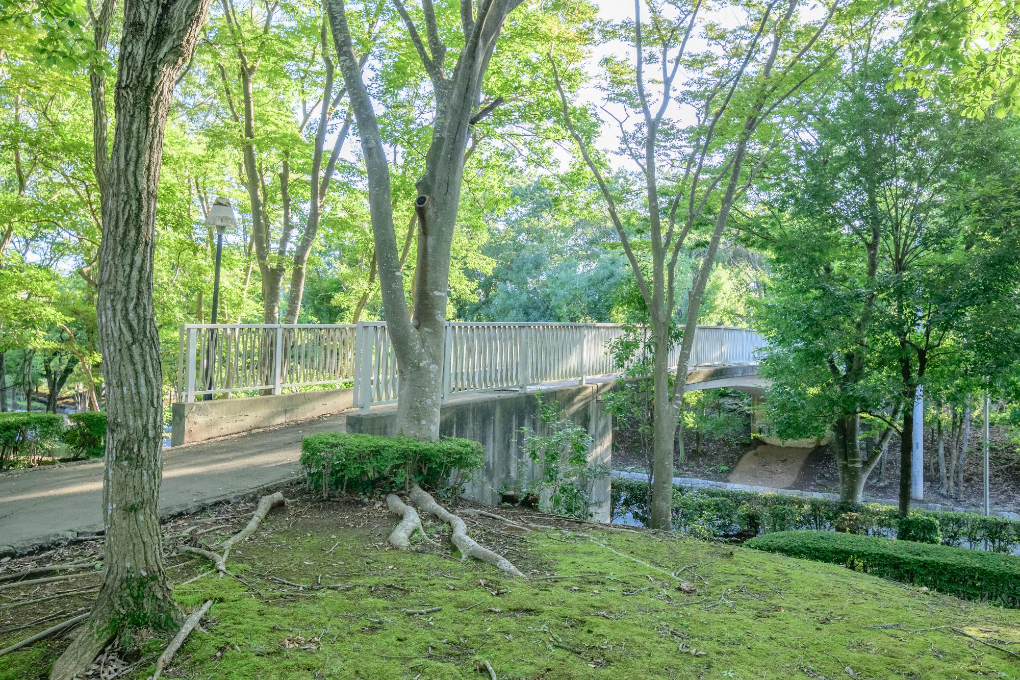 歩道橋で敷地がつながっている桜南スポーツ公園の写真