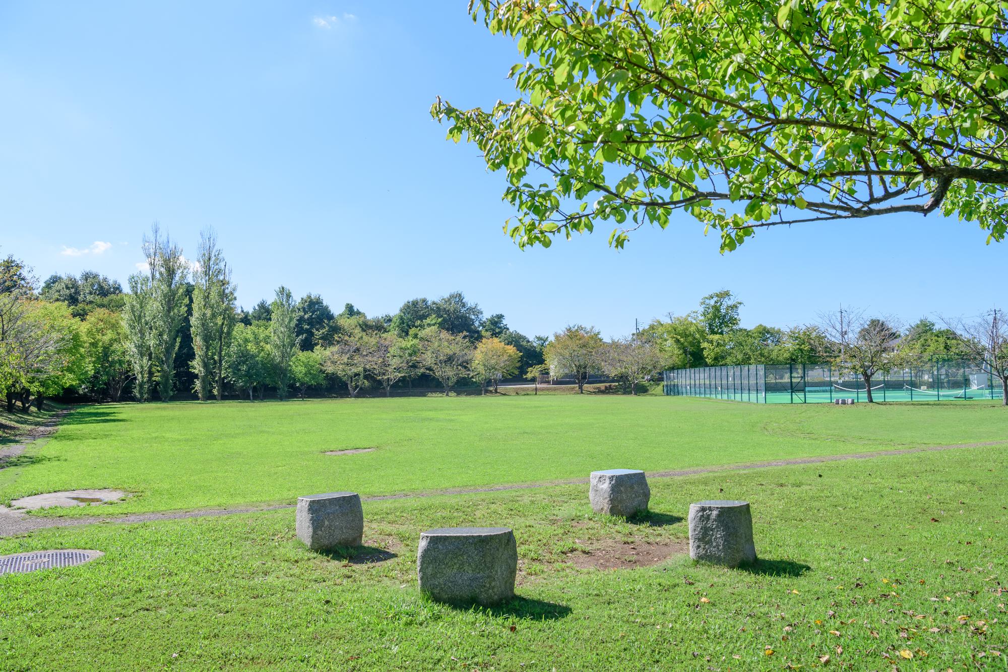 芝生広場とテニスコートのあるさくら公園の写真