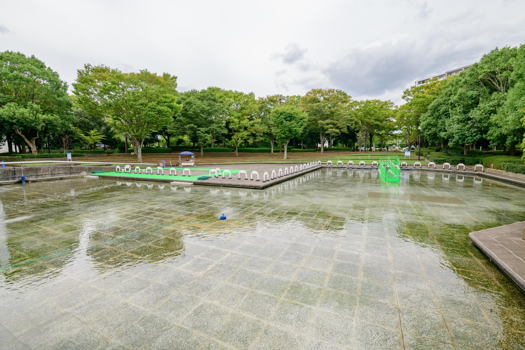 水の張られた徒歩池の写真