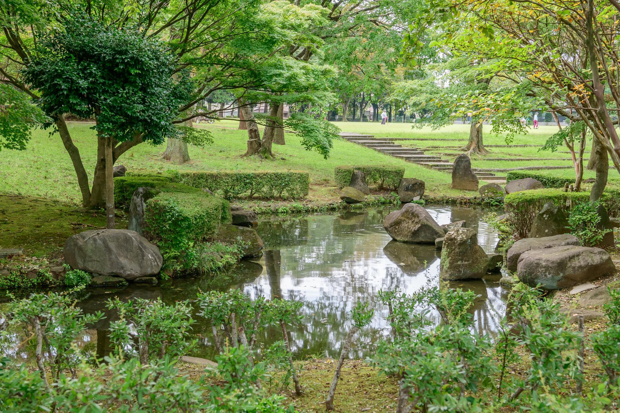 芝生の広場と池のあるかつらぎ公園の写真