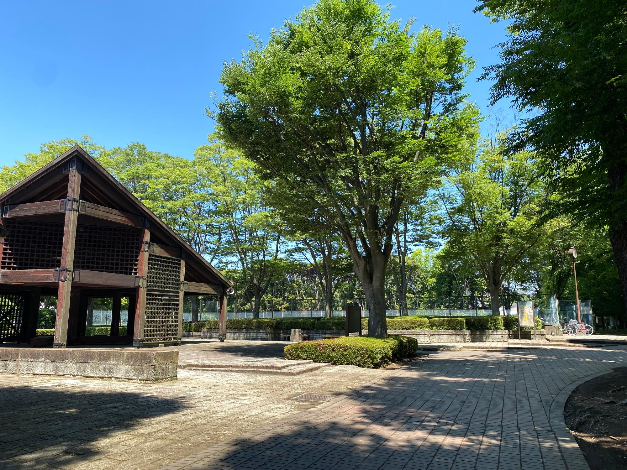 木造のフィールドハウスがある手代木公園の写真