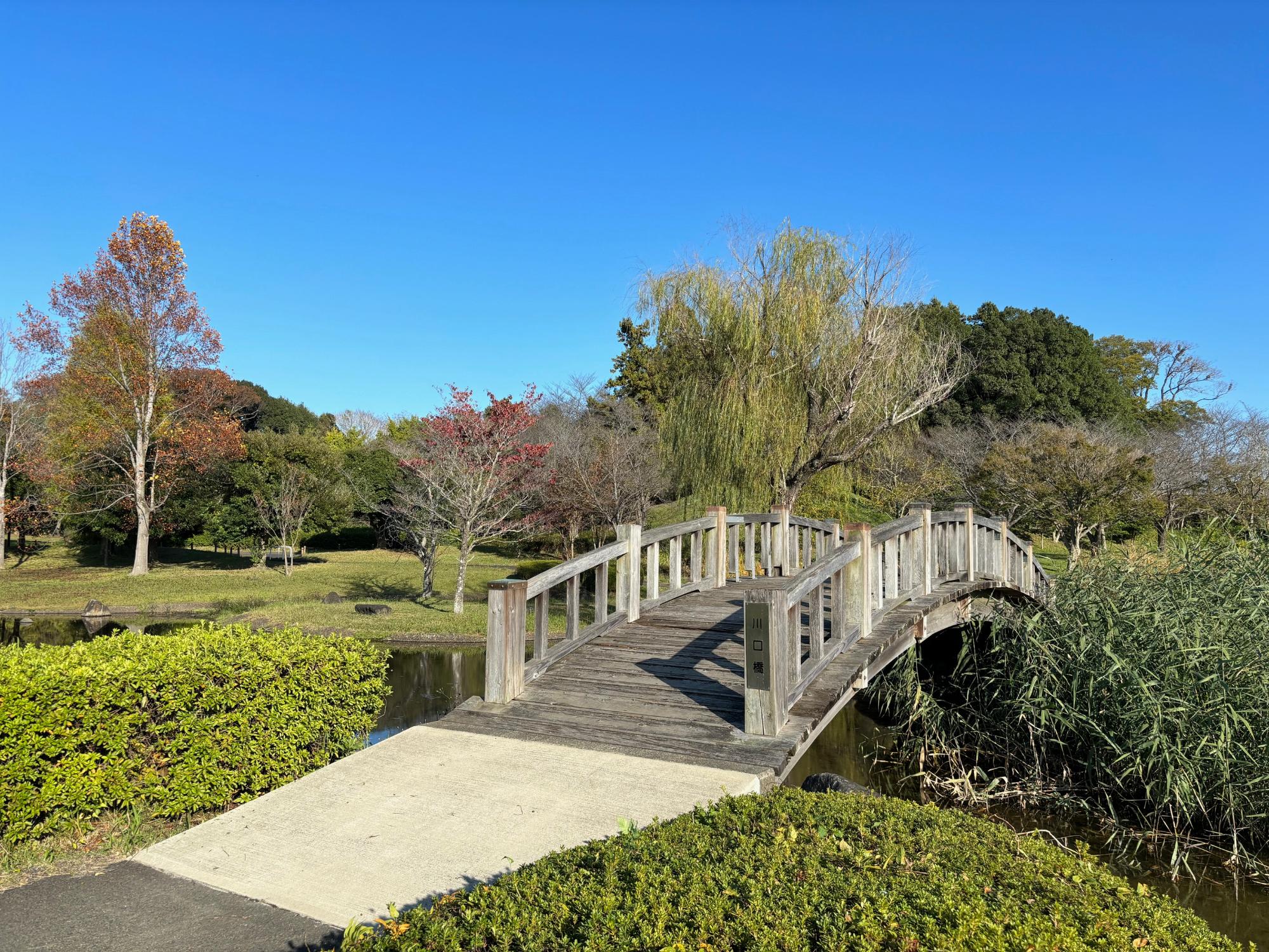 緑豊かな広い敷地に池や橋がある川口公園の写真