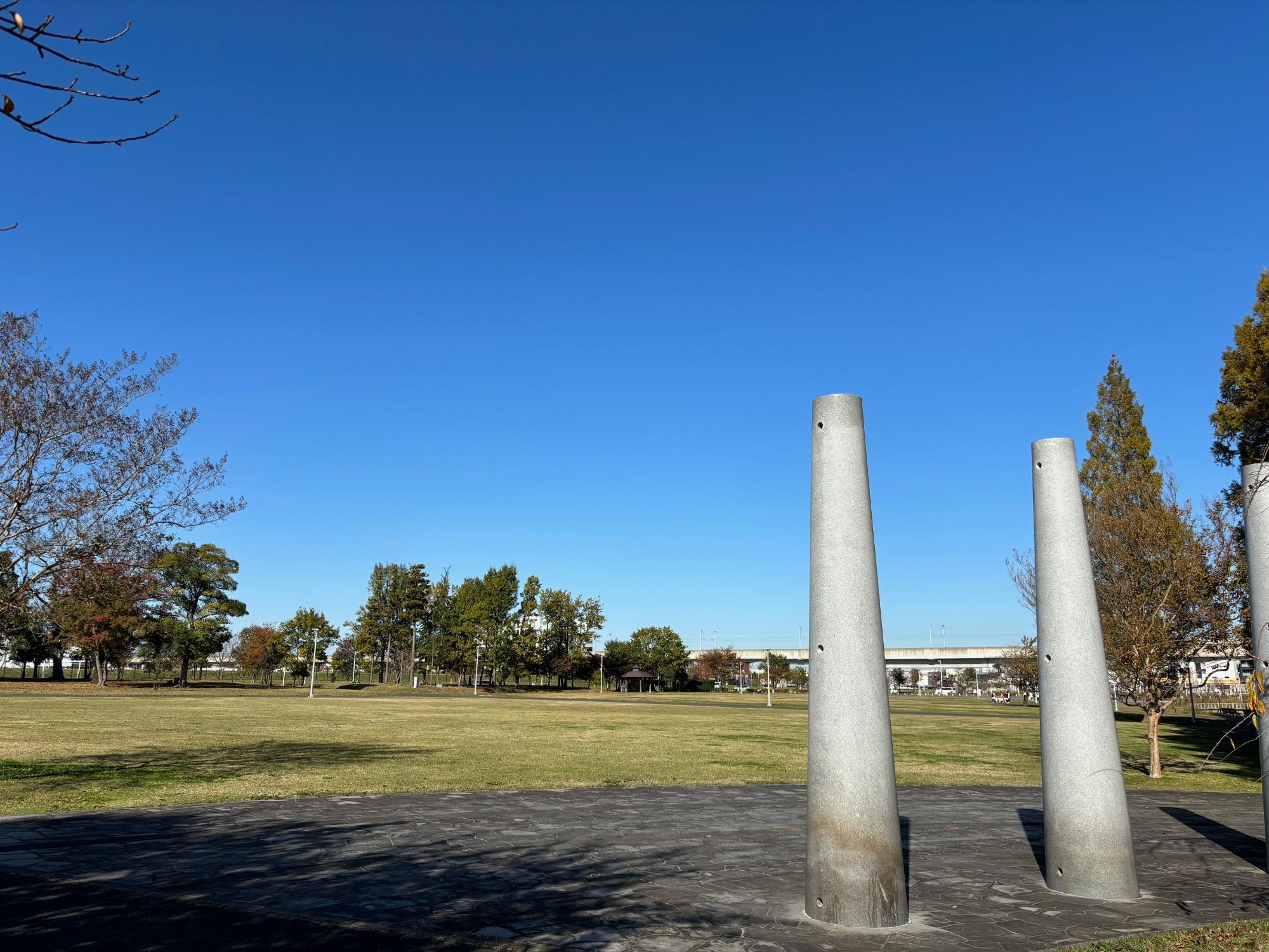 広い芝生広場がある研究学園駅前公園の写真