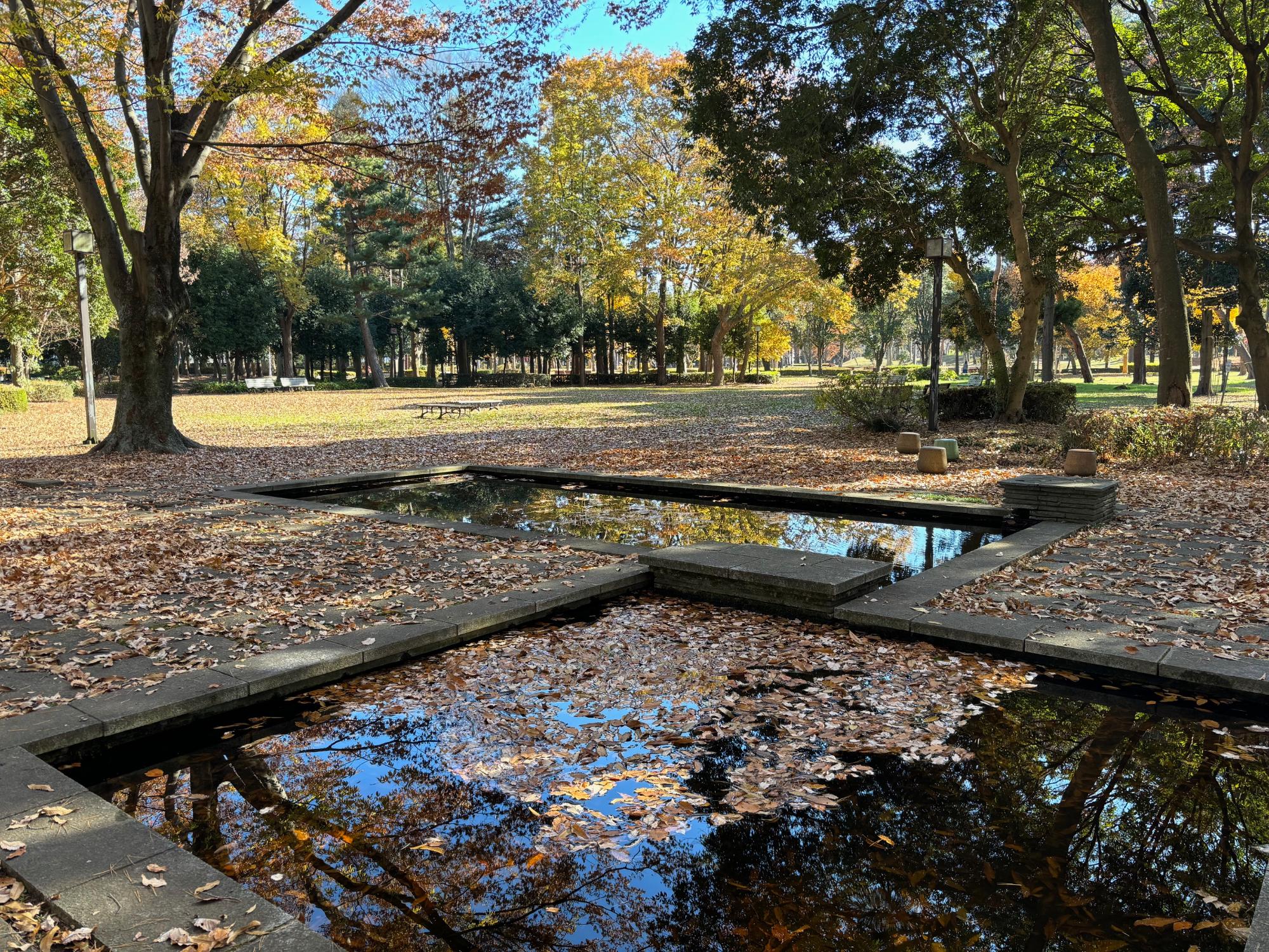 池と広場のあるの赤塚公園の写真