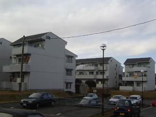 手前に駐車場が設けられた4棟建ち並んだ3階建ての吾妻住宅のテラス側を右斜めから撮影した写真