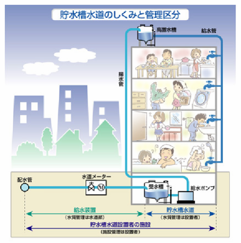 貯水槽水道のしくみと管理区分の図のイラスト