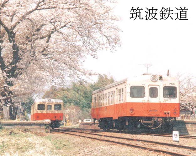 桜並木を走る筑波鉄道の写真