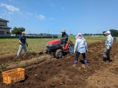 作業者が機械に乗って運転し、畝を掘り起こしている。ほかの作業者がその様子を見つめている。