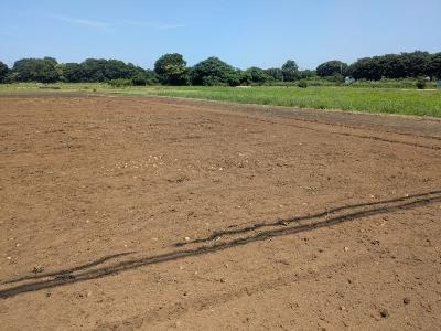 農地が整地されて、きれいに平らになっている。