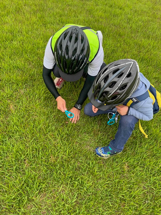 虫眼鏡を使って虫や植物を観察する子どもたち