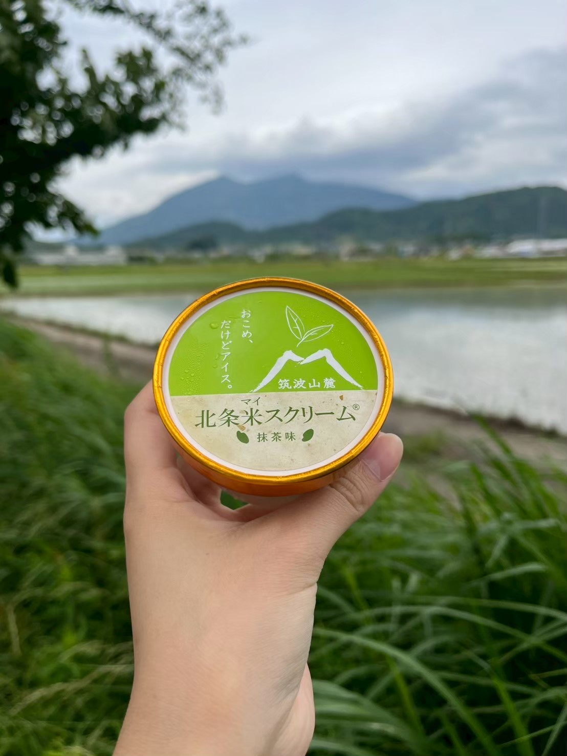 北条米スクリーム