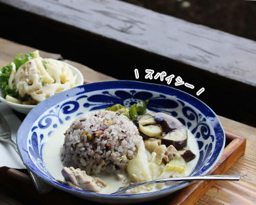塩梅さんのグリーンカレー