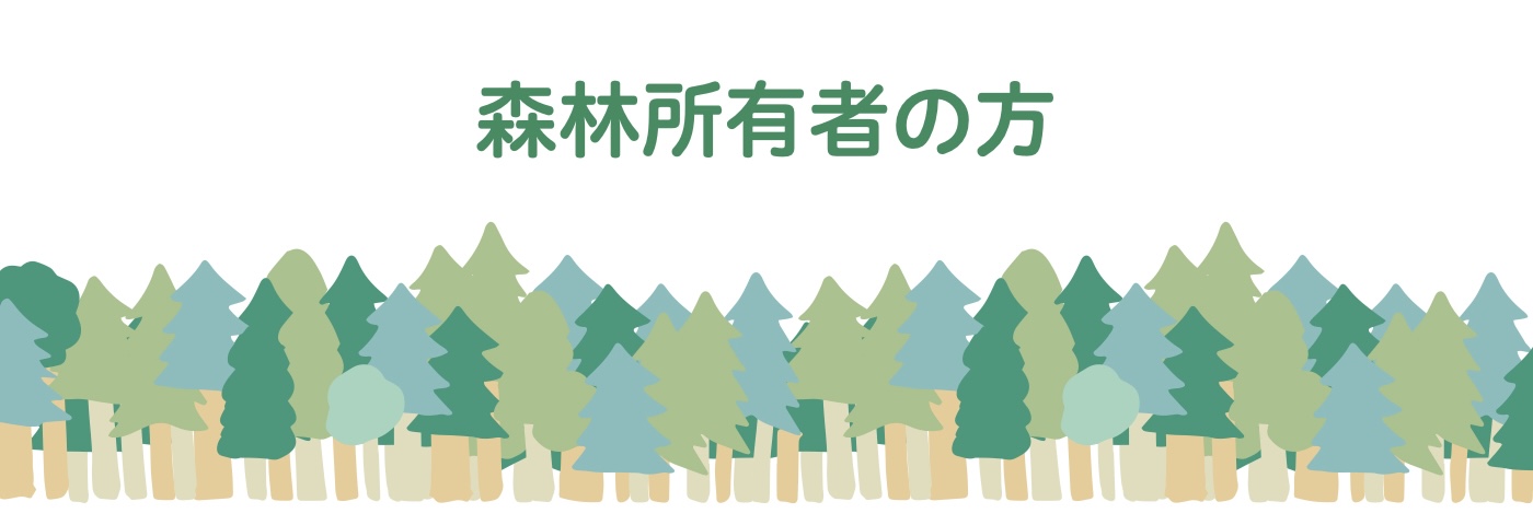 森林のイメージ