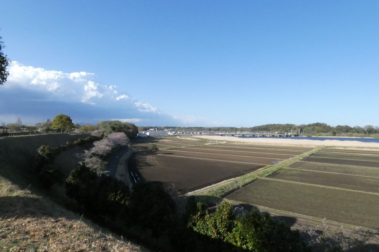 tomonokai5