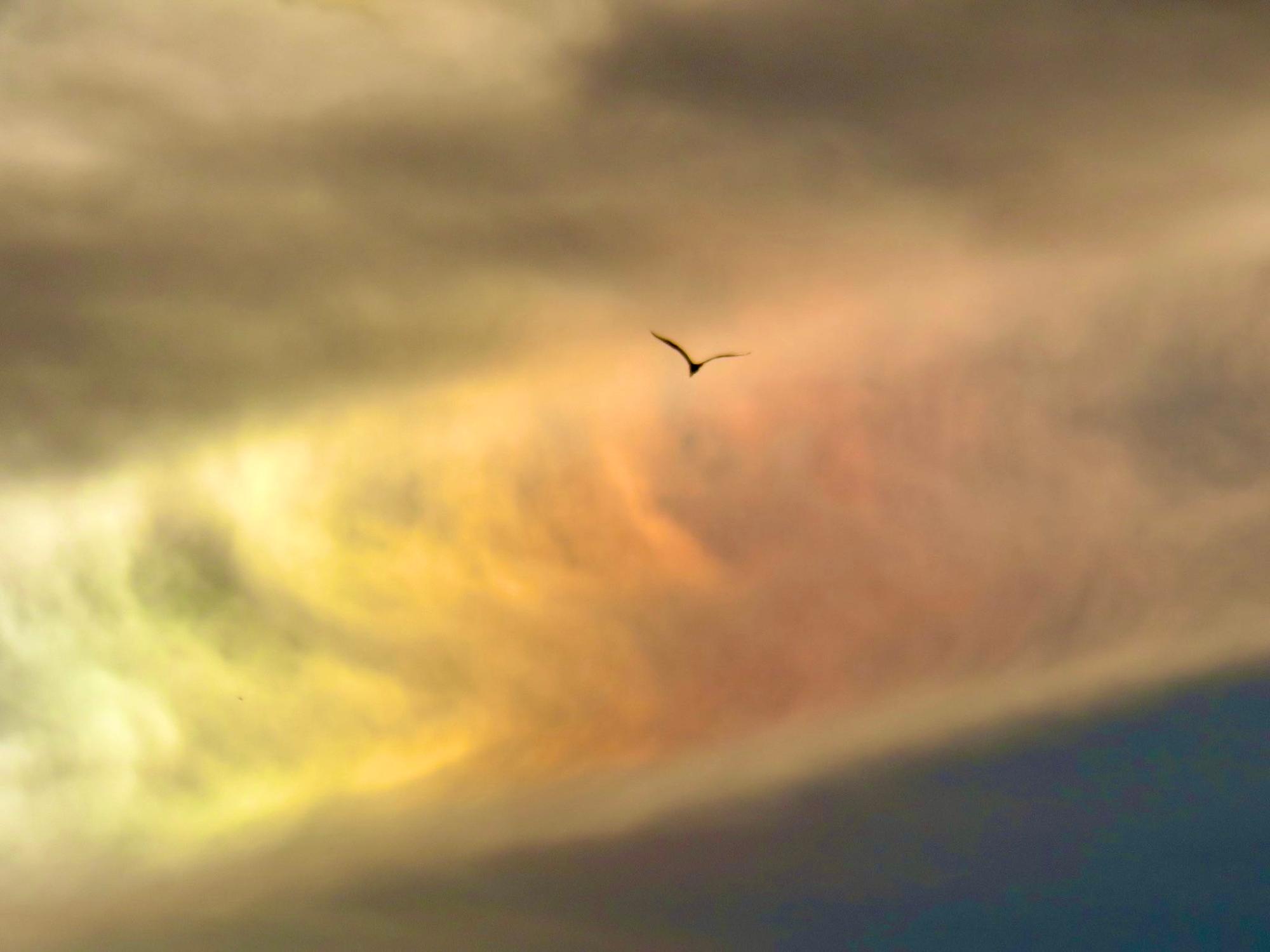 仕事終わりの虹色ご褒美