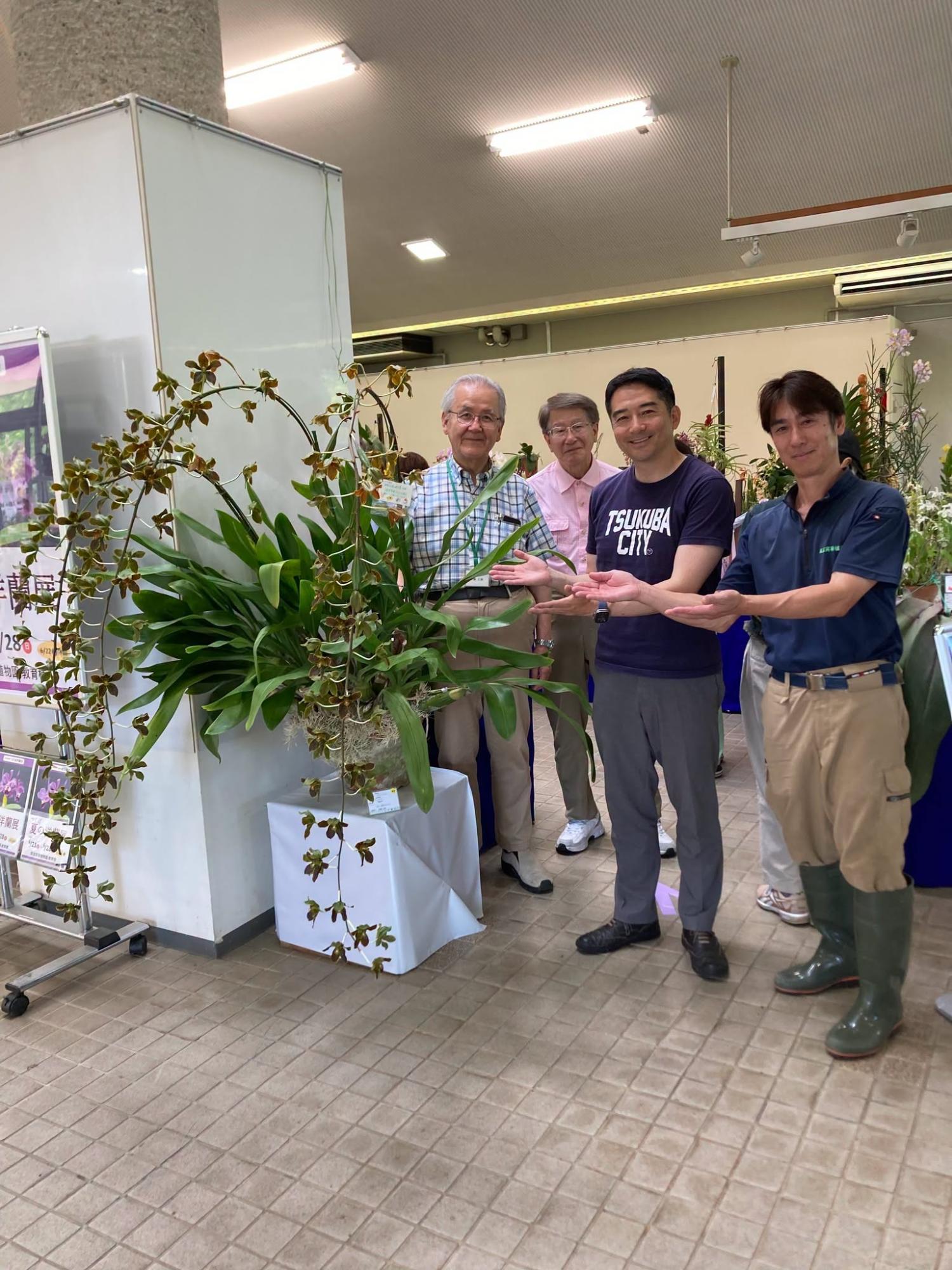 洋蘭展の様子