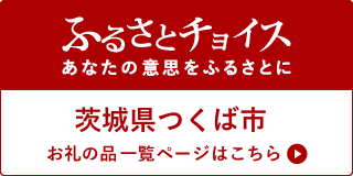 ふるさとチョイスあなたの意思をふるさとに（ふるさとチョイスのサイトへリンク）