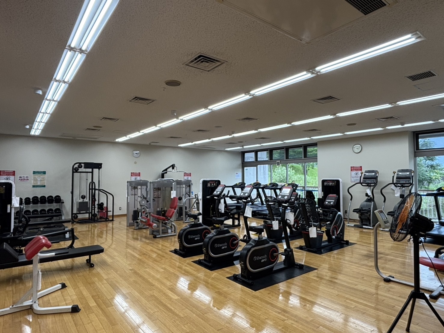 wellnesspark_training