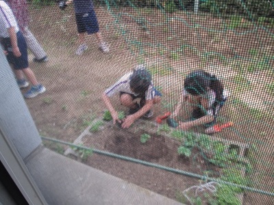 2人の女の子がゴーヤの苗を植えている様子の写真