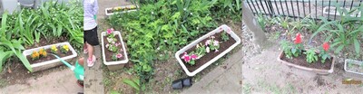 様々な花が植えられている写真
