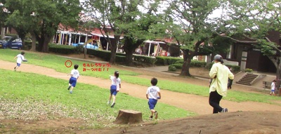 モンシロチョウを追いかける子ども達の写真
