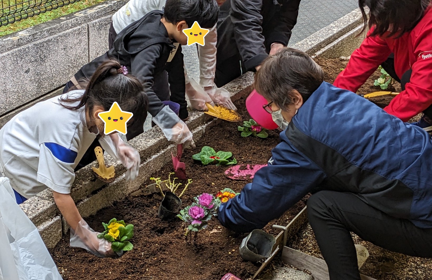 花壇に花を植えているとこと