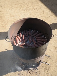 ドラム缶の中に石の上にきれいに並べられたサツマイモの写真