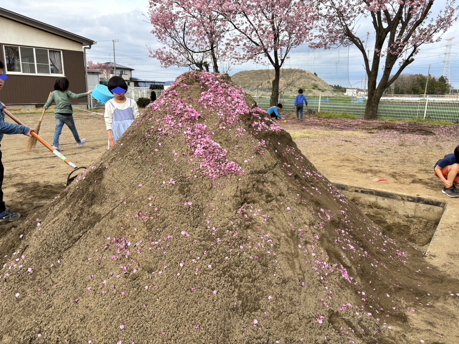 きれいな桜富士がそびえ立ちます