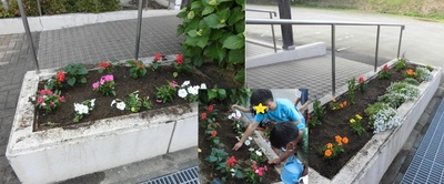 花壇に花が植えられている様子