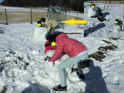 大きな雪の塊を転がす子供たちの写真
