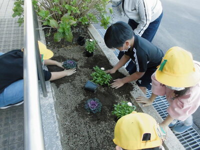 土に穴をほり花を移し替える子供たちの写真