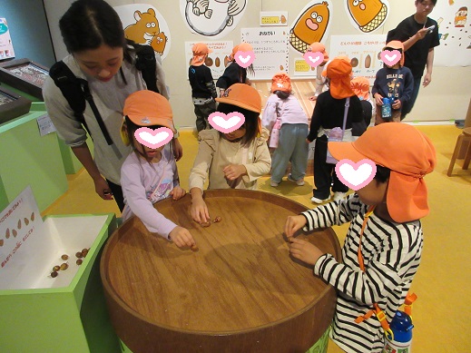 どんぐりコマ体験